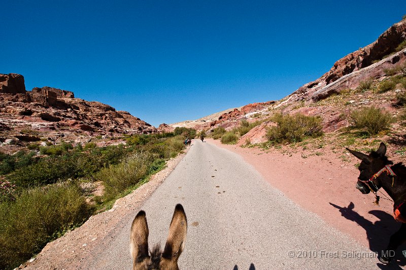 20100412_153237 D3.jpg - On donkey, going up the canyon